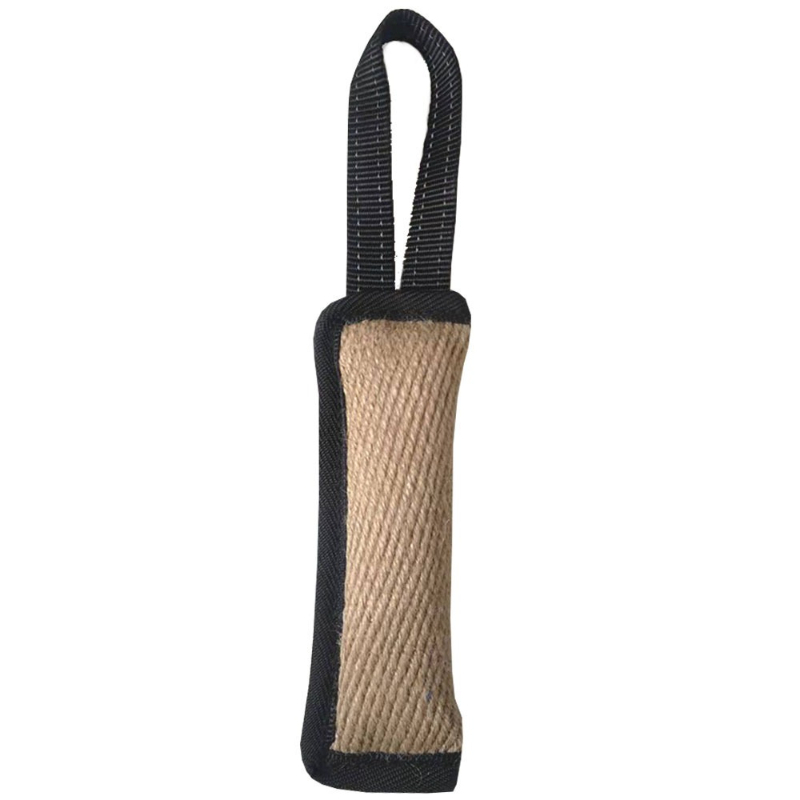 Interactive Squeaky Plush Dog Toy - Jouet de dressage pour chien, coussin