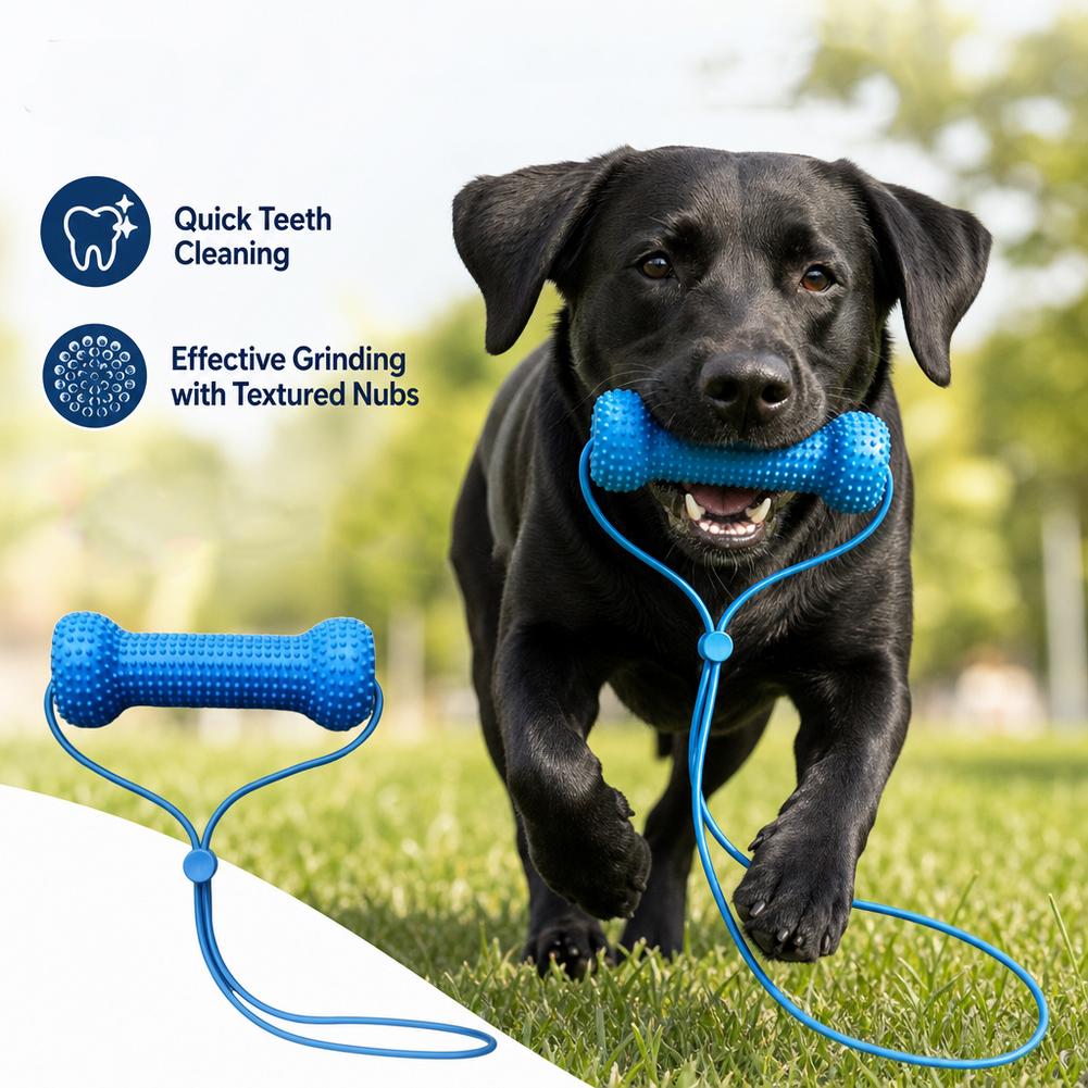 Teeth Cleaning Dog Chew Bone - Jouet à mâcher pour le soin