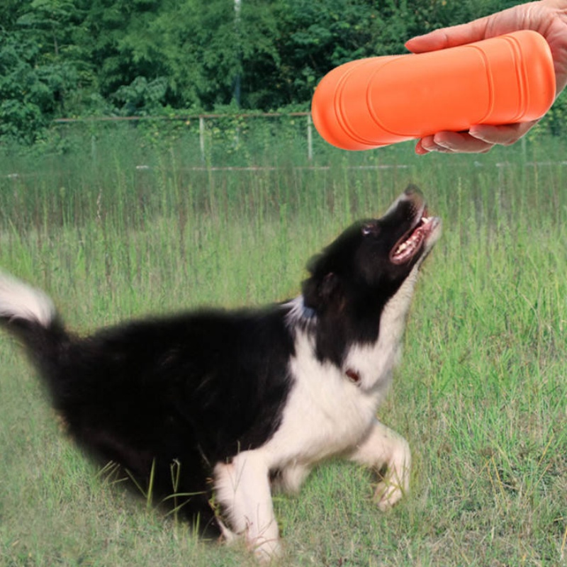 Disque volant en caoutchouc so - Flying Disc Dog Training Toy avis et prix
