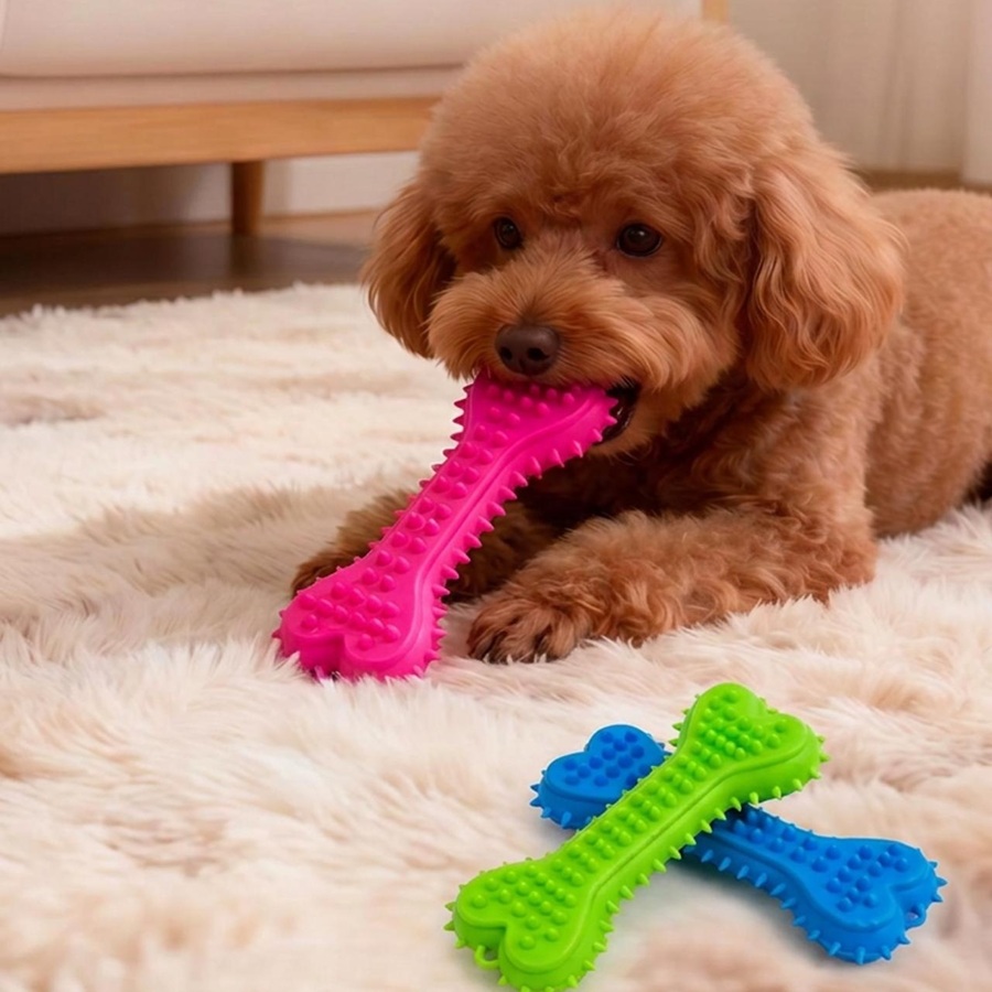 3/6 pièces Jouets à mâcher pou - Teeth Cleaning Dog Chew Bone avis et prix
