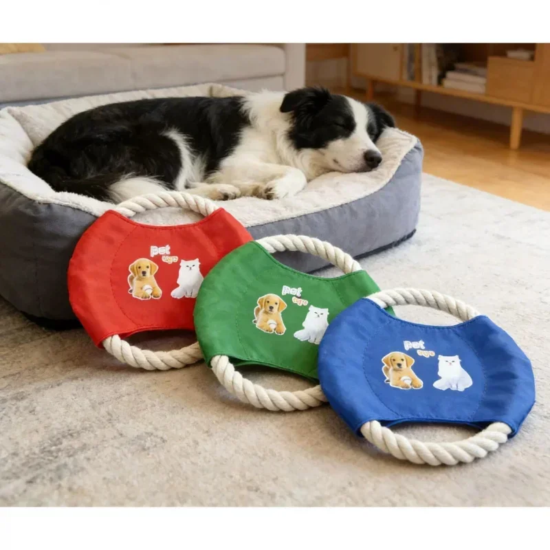 Jouet interactif pour chien en - Flying Disc Dog Training Toy avis et prix