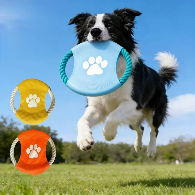 Jouet interactif pour chien en - Flying Disc Dog Training Toy avis et prix
