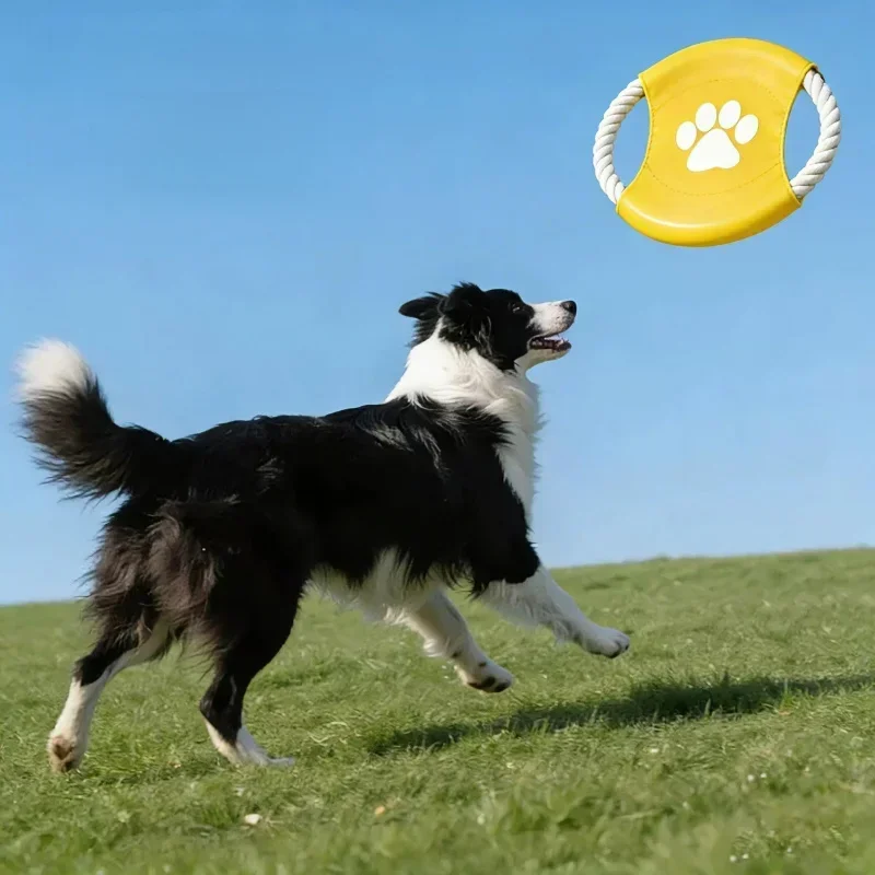Jouet interactif pour chien en - Flying Disc Dog Training Toy avis et prix
