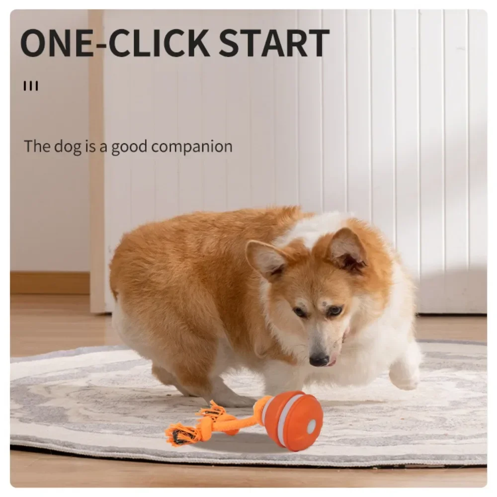 Balle pour animaux de compagni - Automatic Moving Dog Ball avis et prix