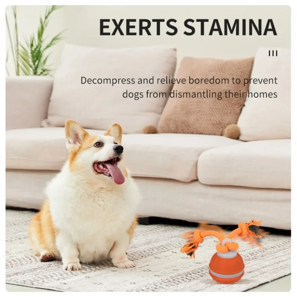 Balle pour animaux de compagni - Automatic Moving Dog Ball avis et prix
