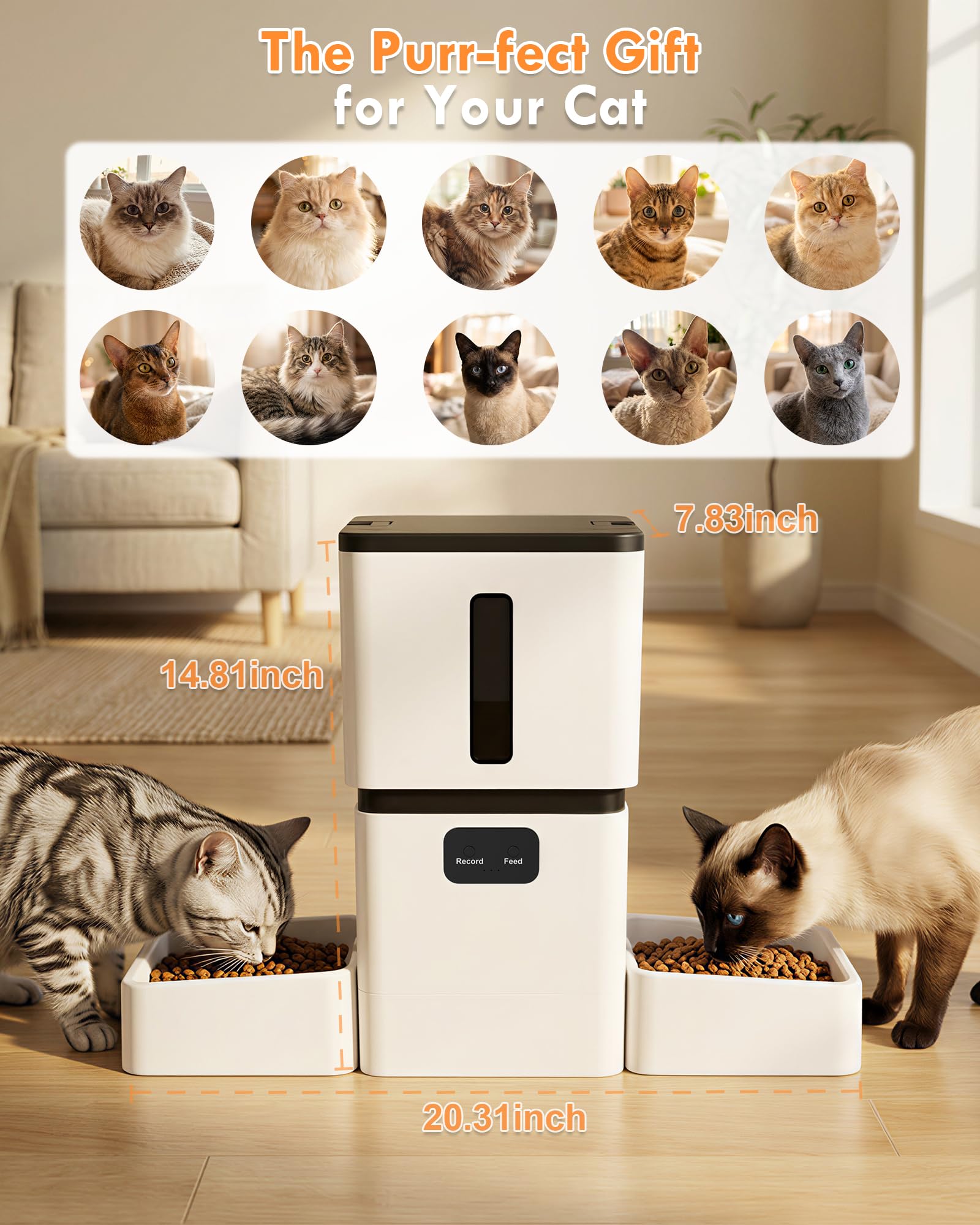 Distributeur automatique de no - Pet Feeders avis et prix